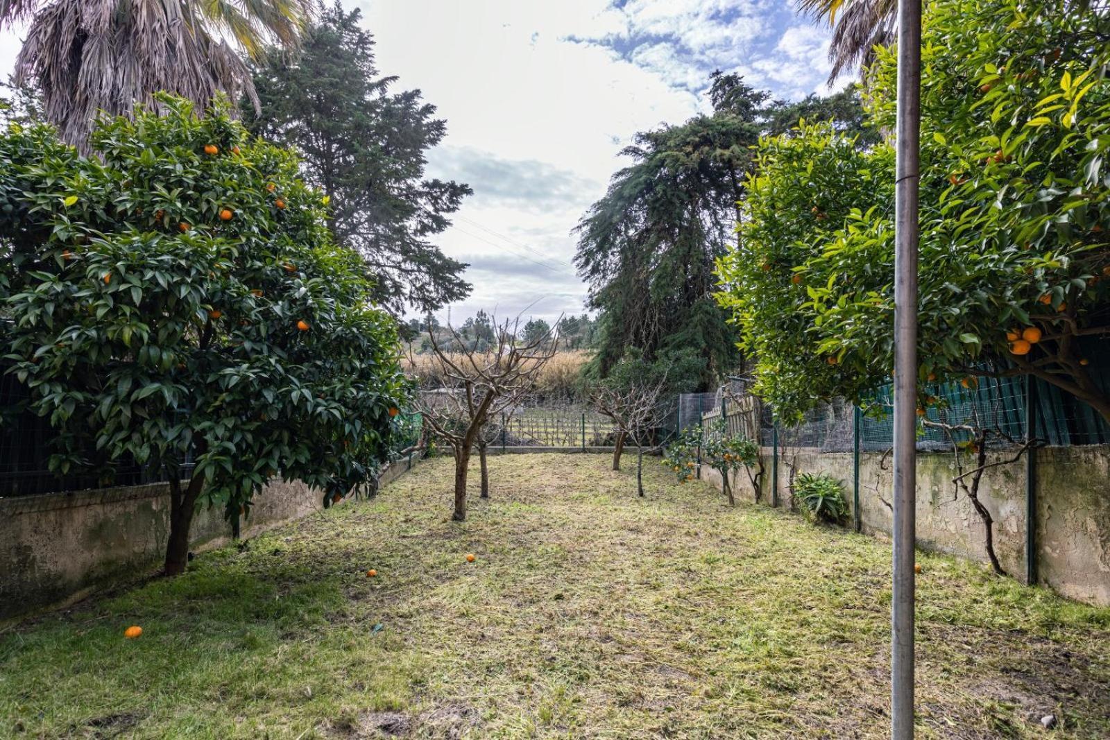 Vila Hidden Garden Near The Castle Óbidos Exteriér fotografie