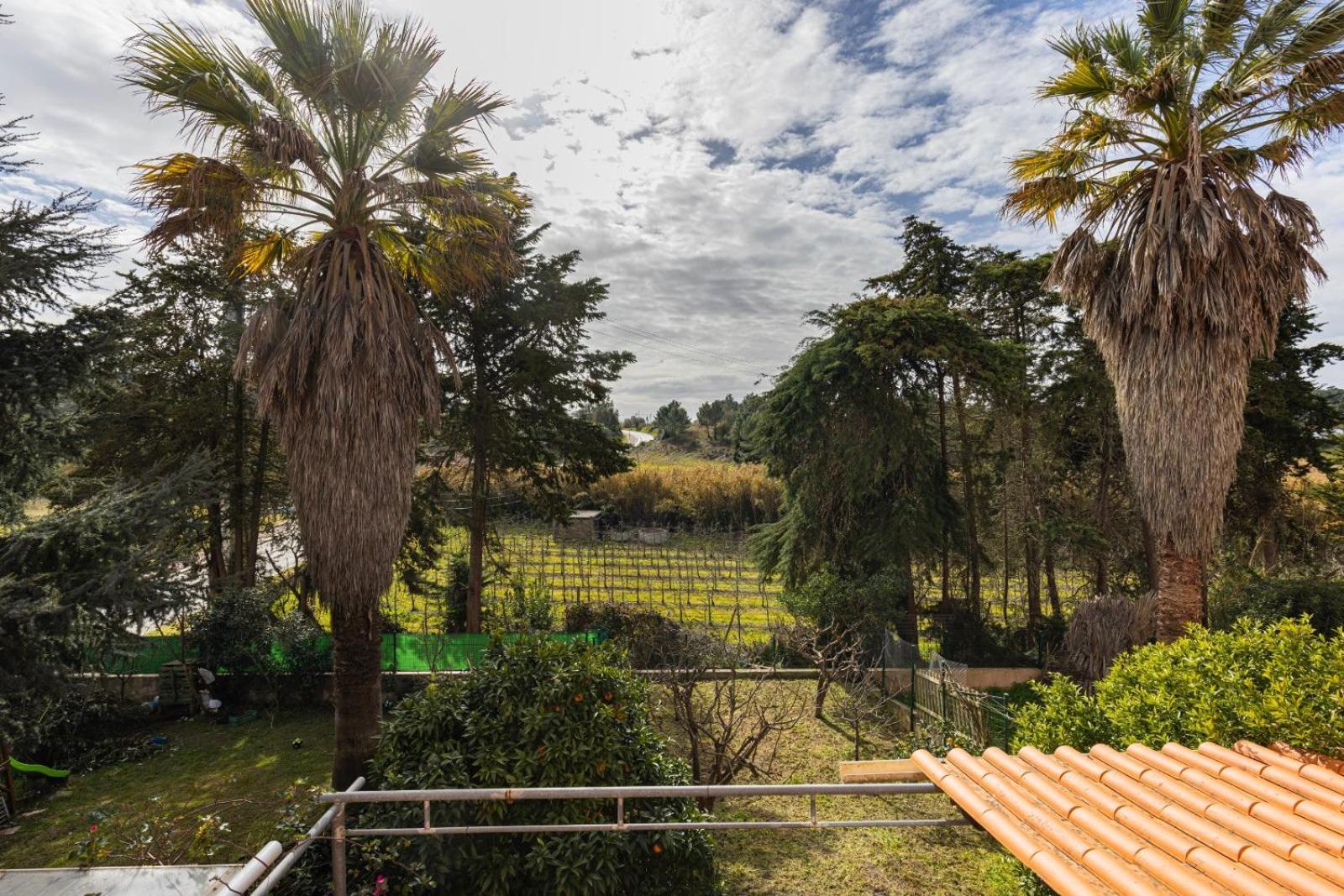 Vila Hidden Garden Near The Castle Óbidos Exteriér fotografie
